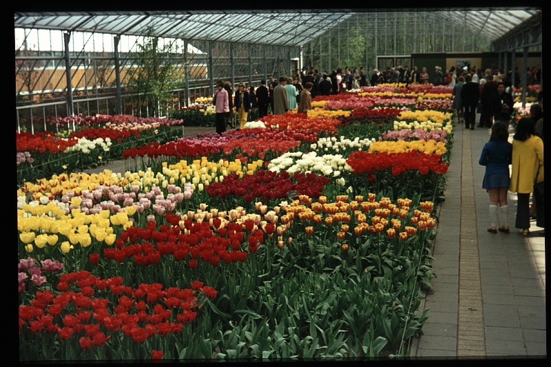 10.Keukenhof apr 1973.JPG